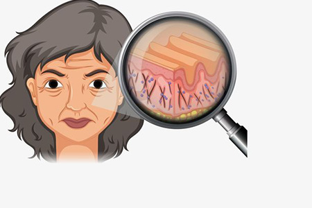 ������Ϊ�ԵĻ�����������ʵ�ܡ����ϡ�